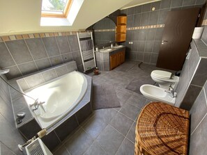 Shower, hair dryer, bidet, towels