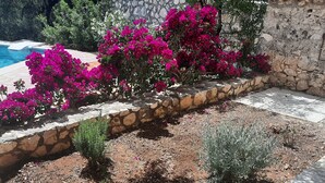 Un jardín con muro de piedra, piscina y un gato.