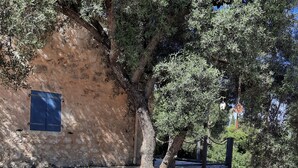 Un muro de piedra con una ventana, asientos exteriores y follaje.