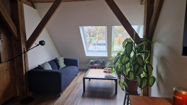 A loft-style room with a sloped ceiling, a dark blue sofa, a wooden coffee table, and a large potted plant.