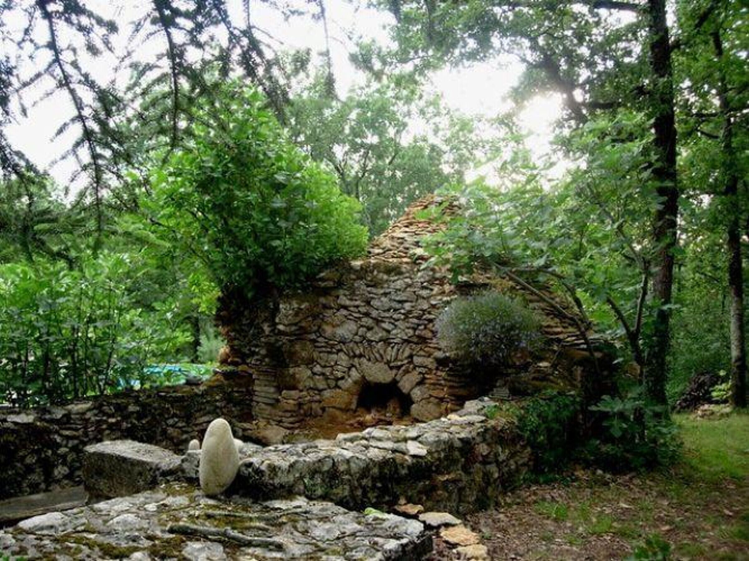 المنطقة المحيطة بالمنشأة