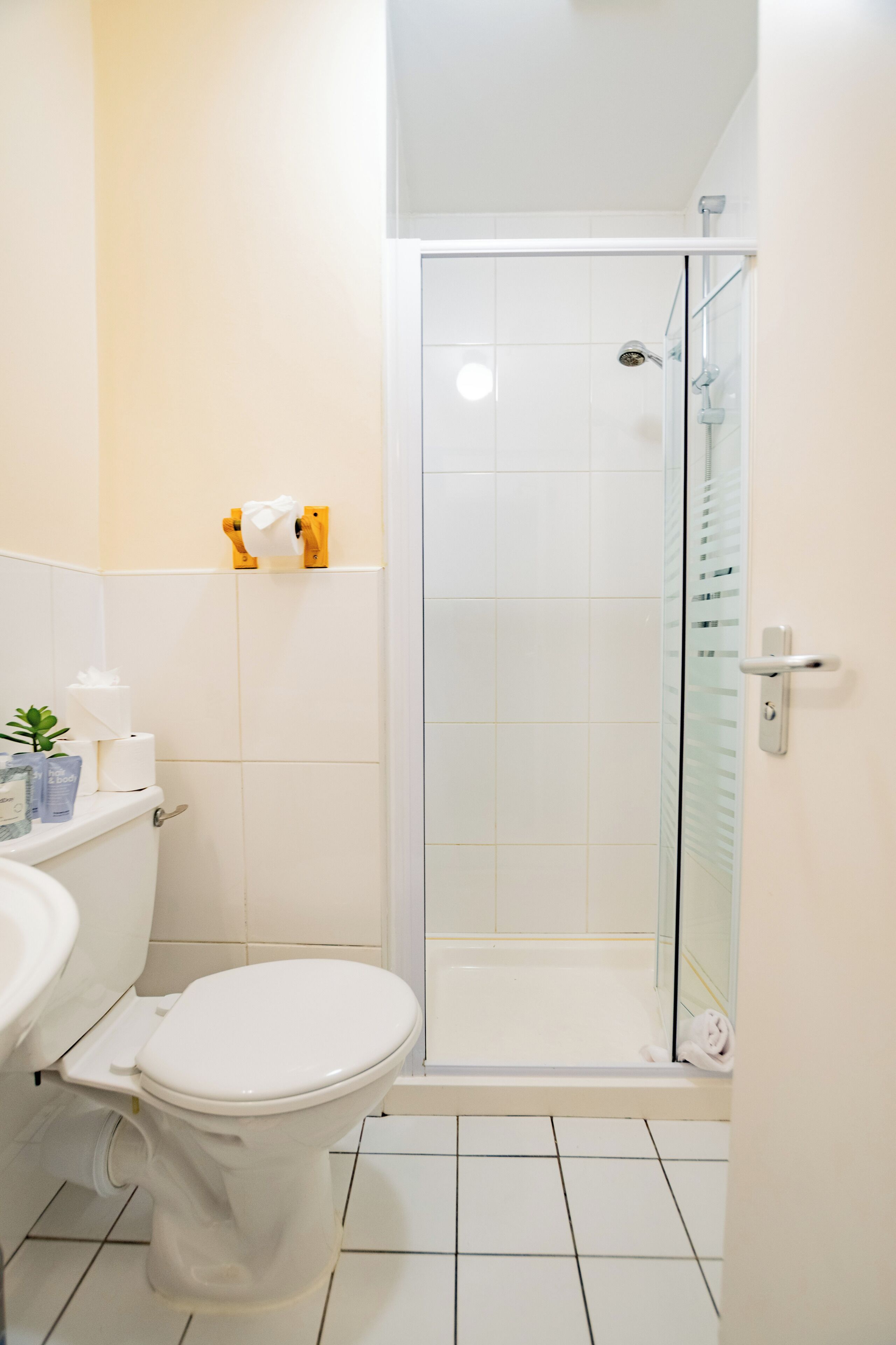 Shower, hair dryer, towels, soap
