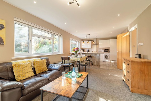 Zuhause, Tür, Hütte, Garten, Stuhl, Gartenmöbel, Hinterhof, Tisch Im Freien, Zimmerpflanze, Markise