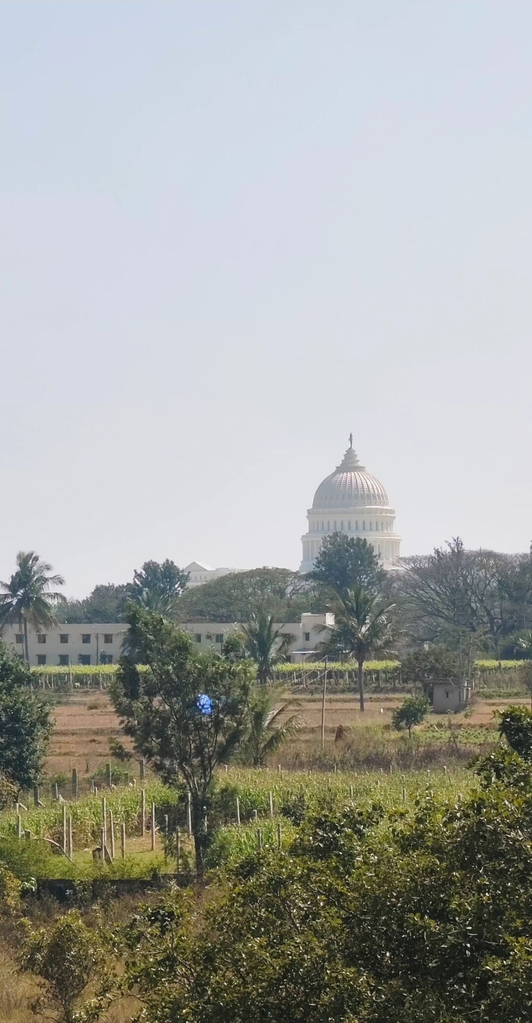 A large white building with a dome, surrounded by greenery and a few trees.
