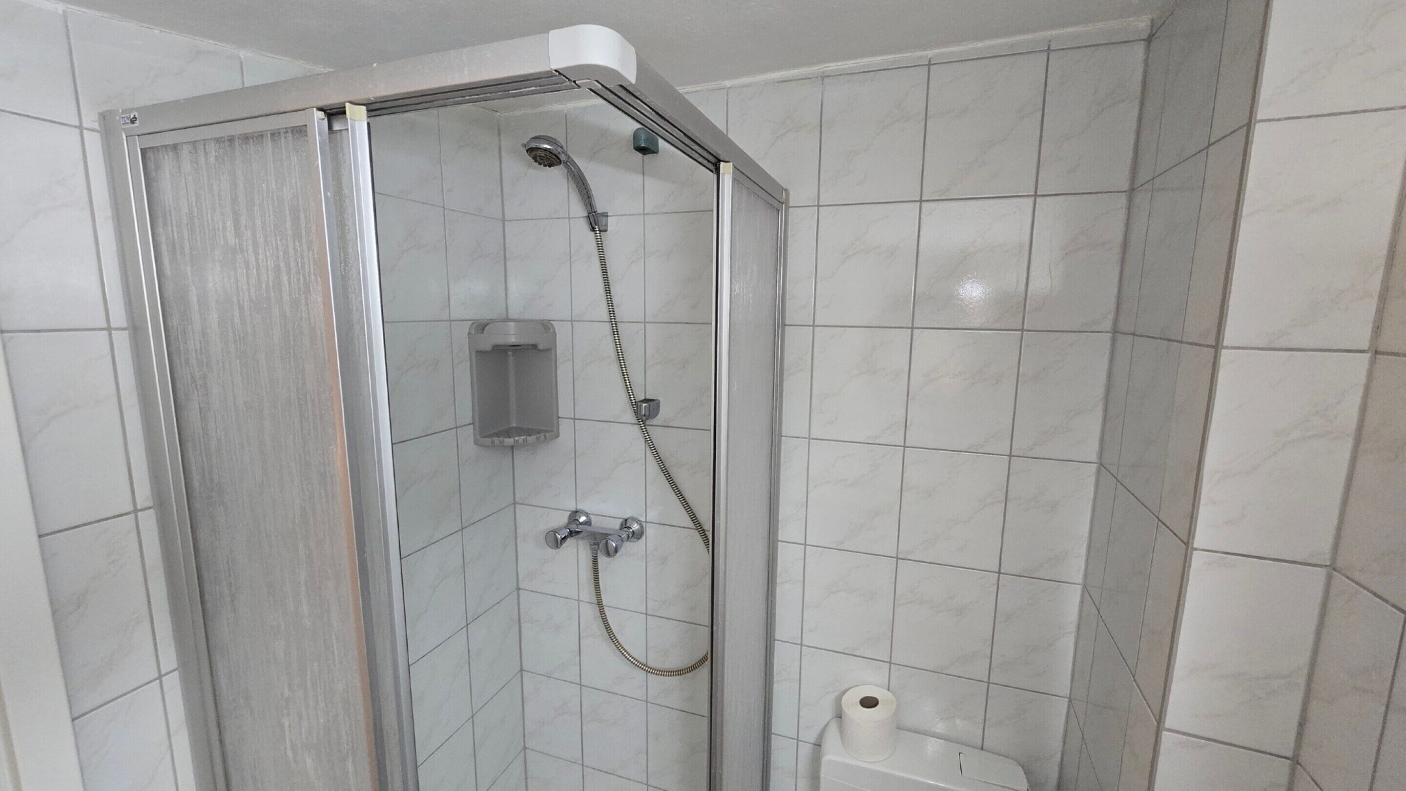 A shower with a glass door, a handheld showerhead, a wall-mounted faucet, and a toilet with a roll of toilet paper.