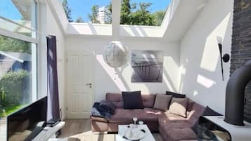 Fernseher, Kamin, DVD-Player, Bücher