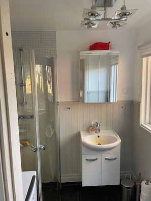 Shower, hair dryer, towels, soap
