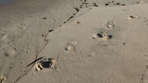 Une plage parsemée d’empreintes, un ciel dégagé et des vagues calmes.