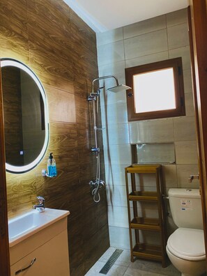 Une salle de bain avec un meuble-lavabo en bois, un évier, un miroir, une douche et des toilettes.