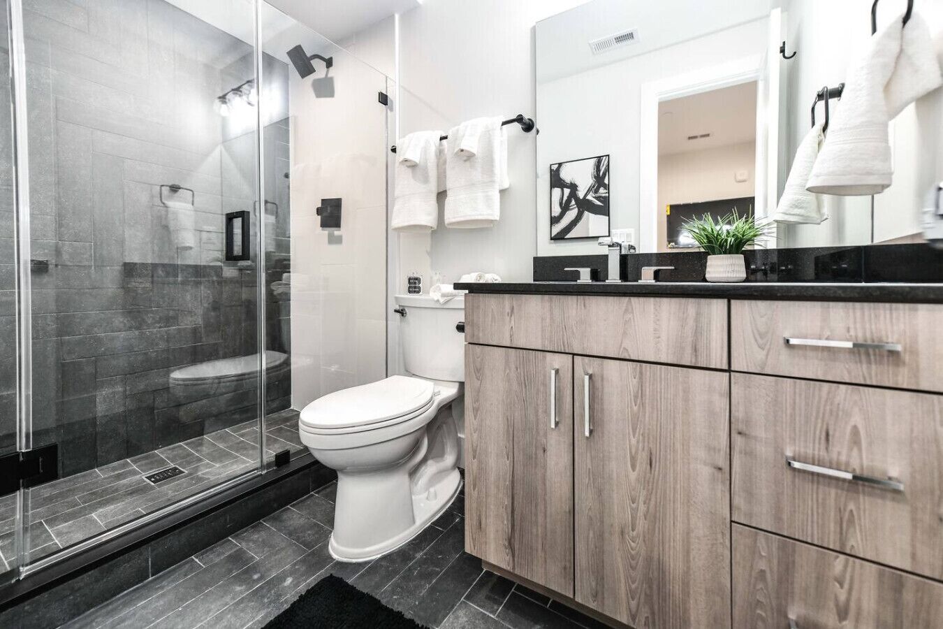 Hair dryer, bidet, towels