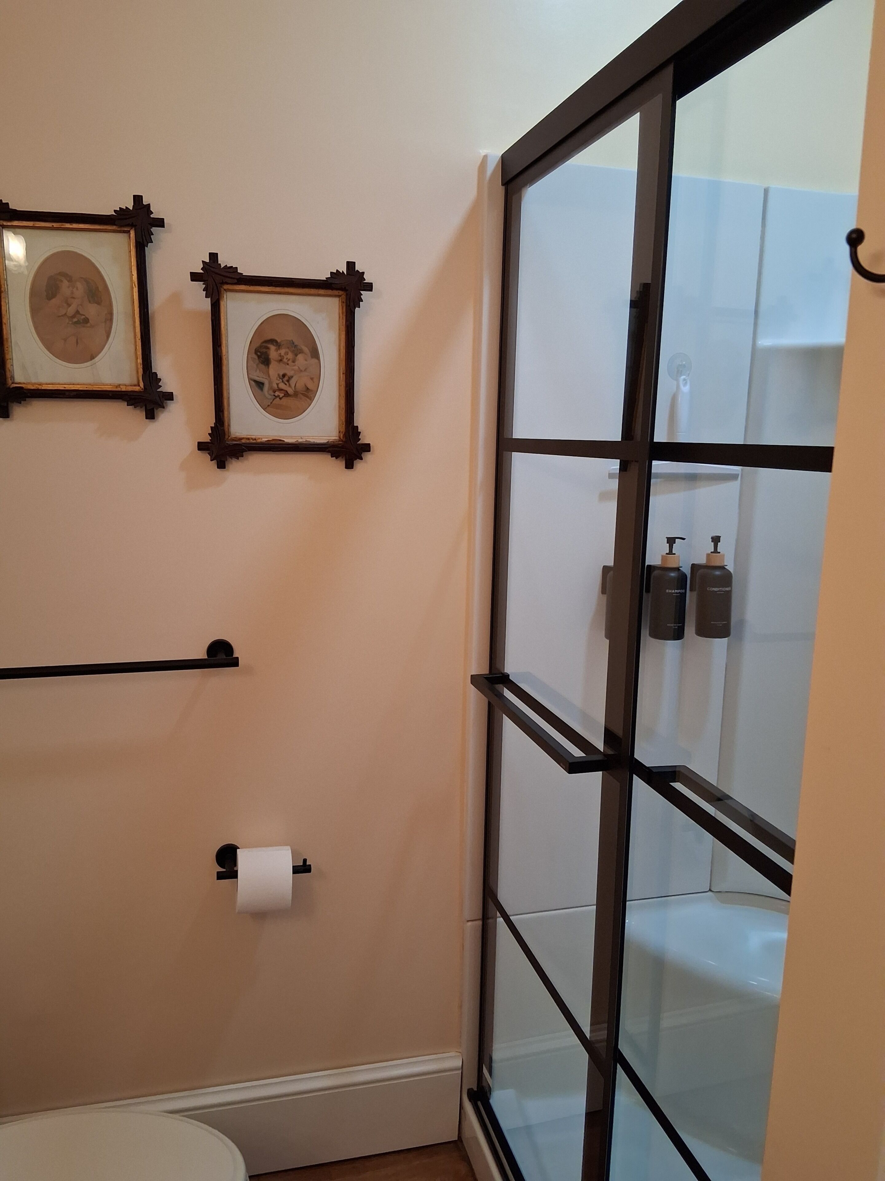 Une salle de bain avec des toilettes, deux tableaux encadrés au mur, un porte-serviettes et une cabine de douche en verre.