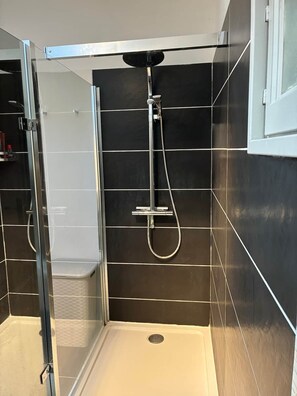 Shower, hair dryer, soap, toilet paper