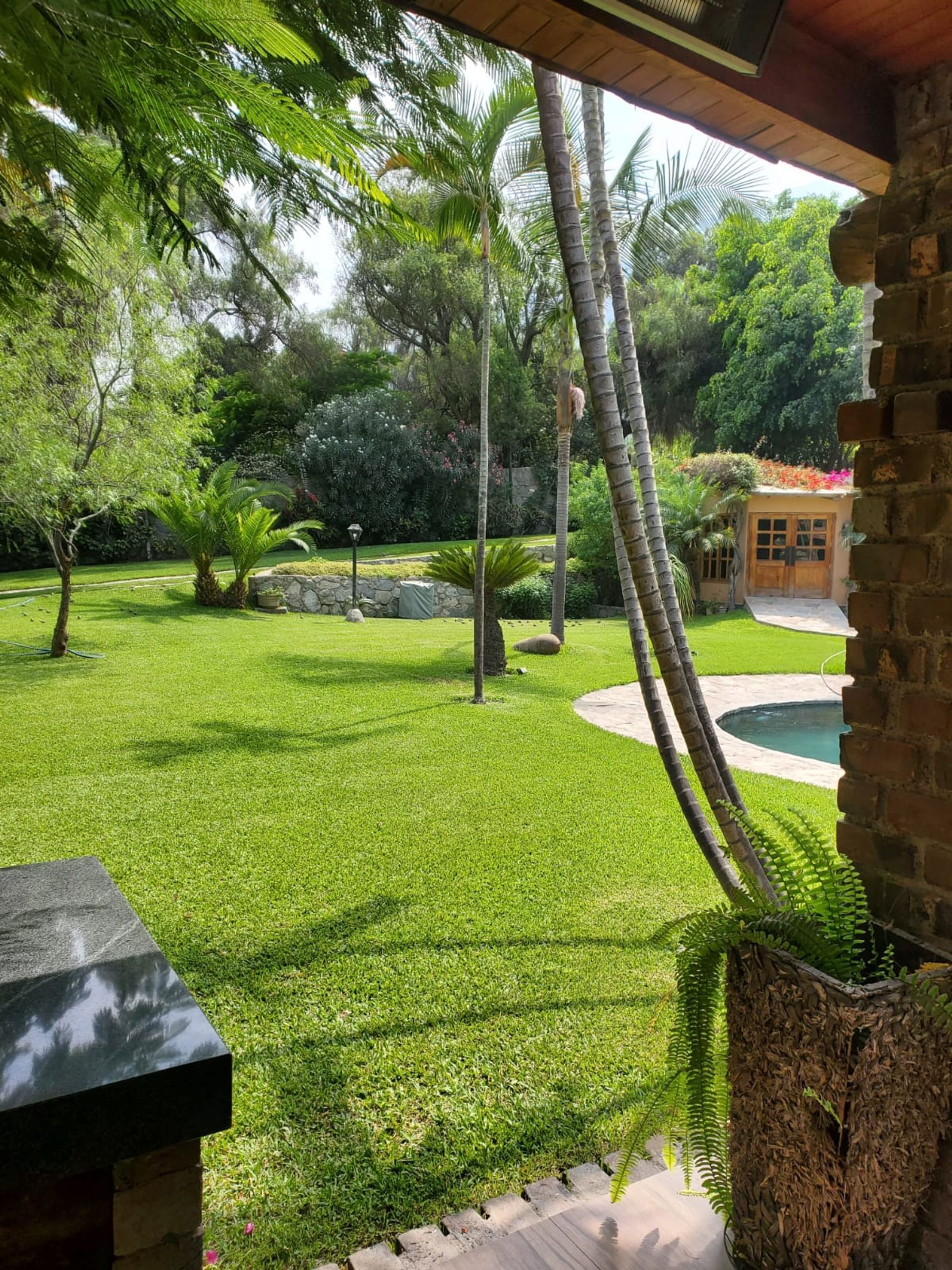 Un jardín bien cuidado con un banco de piedra, un pequeño estanque y un muro de ladrillo.