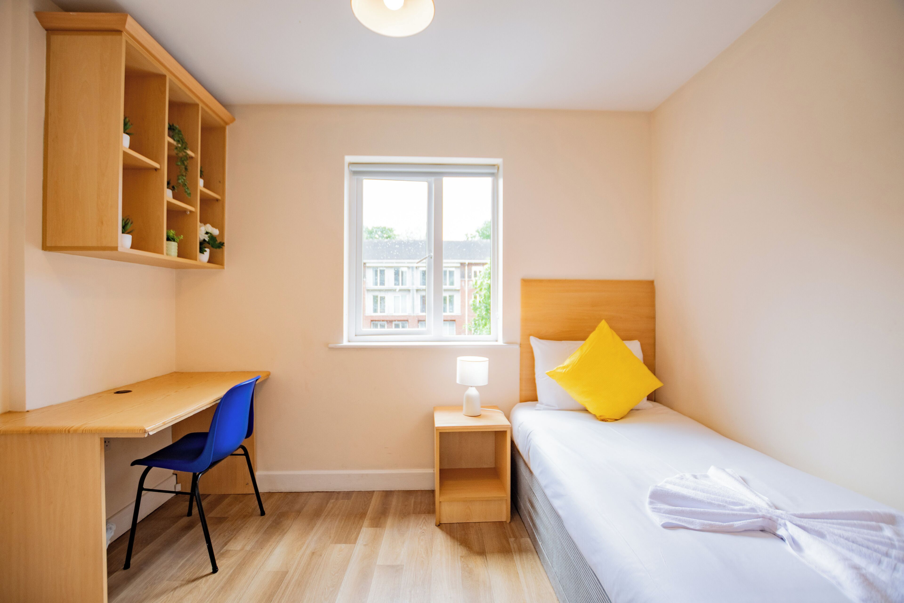 A bedroom with a bed, a desk, a chair, a nightstand, a window, and a wooden shelf with plants.