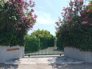 Property grounds - BLUE ESCAPE - Beachfront Privacy for Groups (12+ yrs) (Korission)