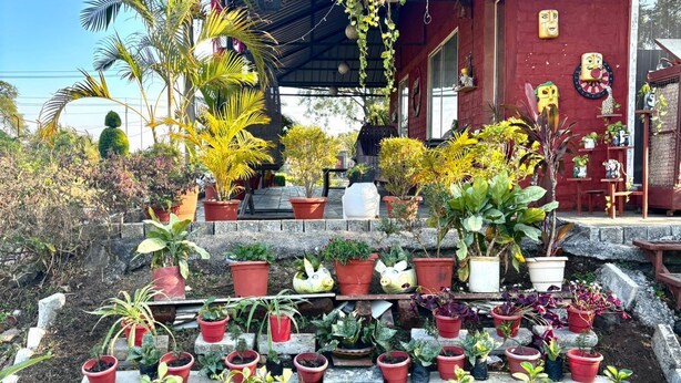 Une maison à l’extérieur rouge, dotée d’un porche couvert et agrémentée de diverses plantes en pot, tant sur le porche que dans le jardin.