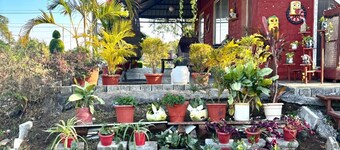 SukoonGhar Farmstays