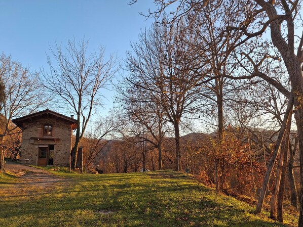 Área da propriedade