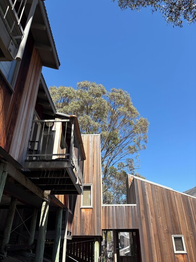 cabin21 riverside - stylish loft cabin on-snow in Thredbo