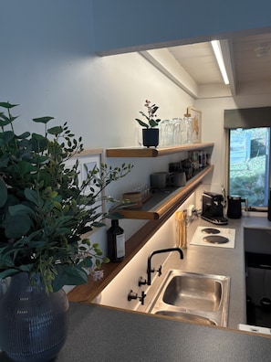 A modern kitchen with a built-in sink, a coffee machine, and a shelf with glassware and a potted plant.