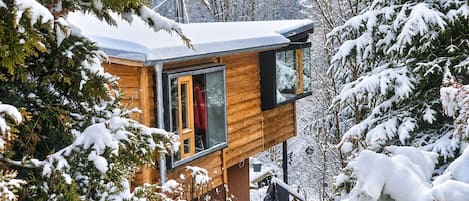 Una cabaña de madera con puerta y ventana de vidrio, rodeada de árboles cubiertos de nieve.