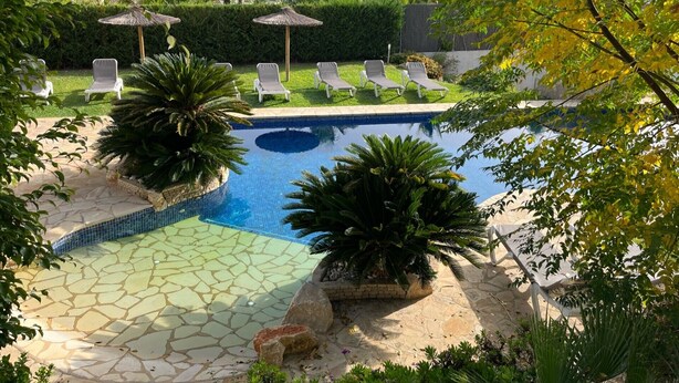 A swimming pool with lounge chairs, palm trees, and a stone patio. - "Beautiful villa featuring a large swimming pool and landscaped gardens, privacy. (VC)
