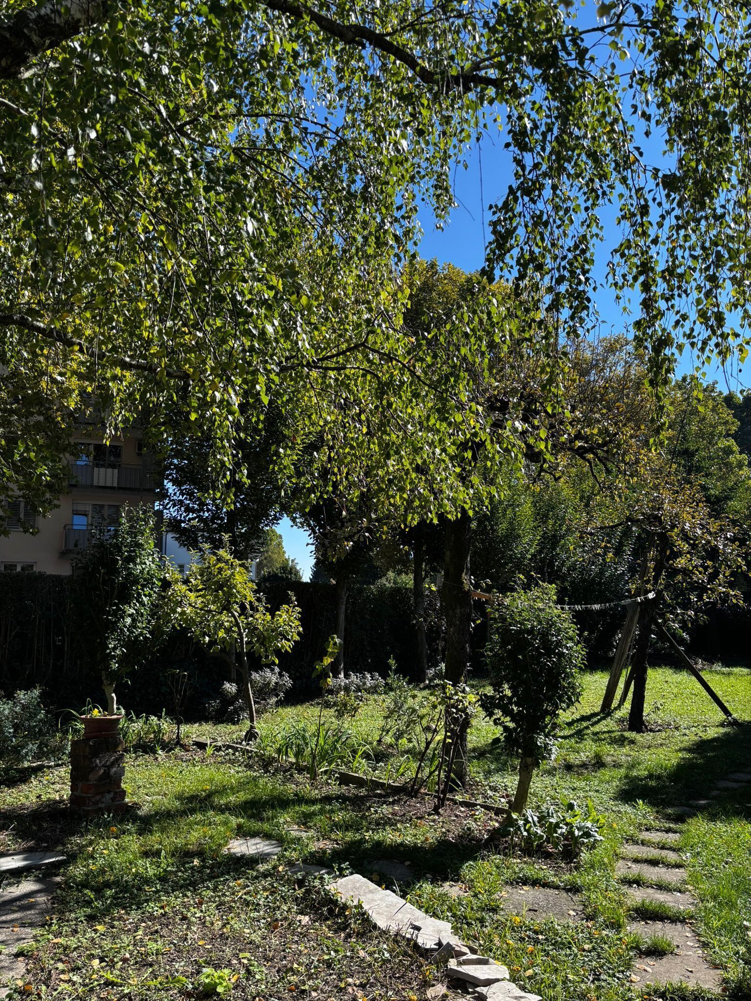A garden with trees, a stone pathway, and a building in the background.