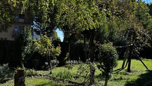 A garden with trees, a stone pathway, and a building in the background. - house DEV (Maribor)