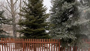 A hot tub with a wooden deck and a wooden fence in a snowy outdoor setting. - Breckenridge 1BR + Den - Family-Friendly, Steps to Swan River & CO Trail (Breckenridge)