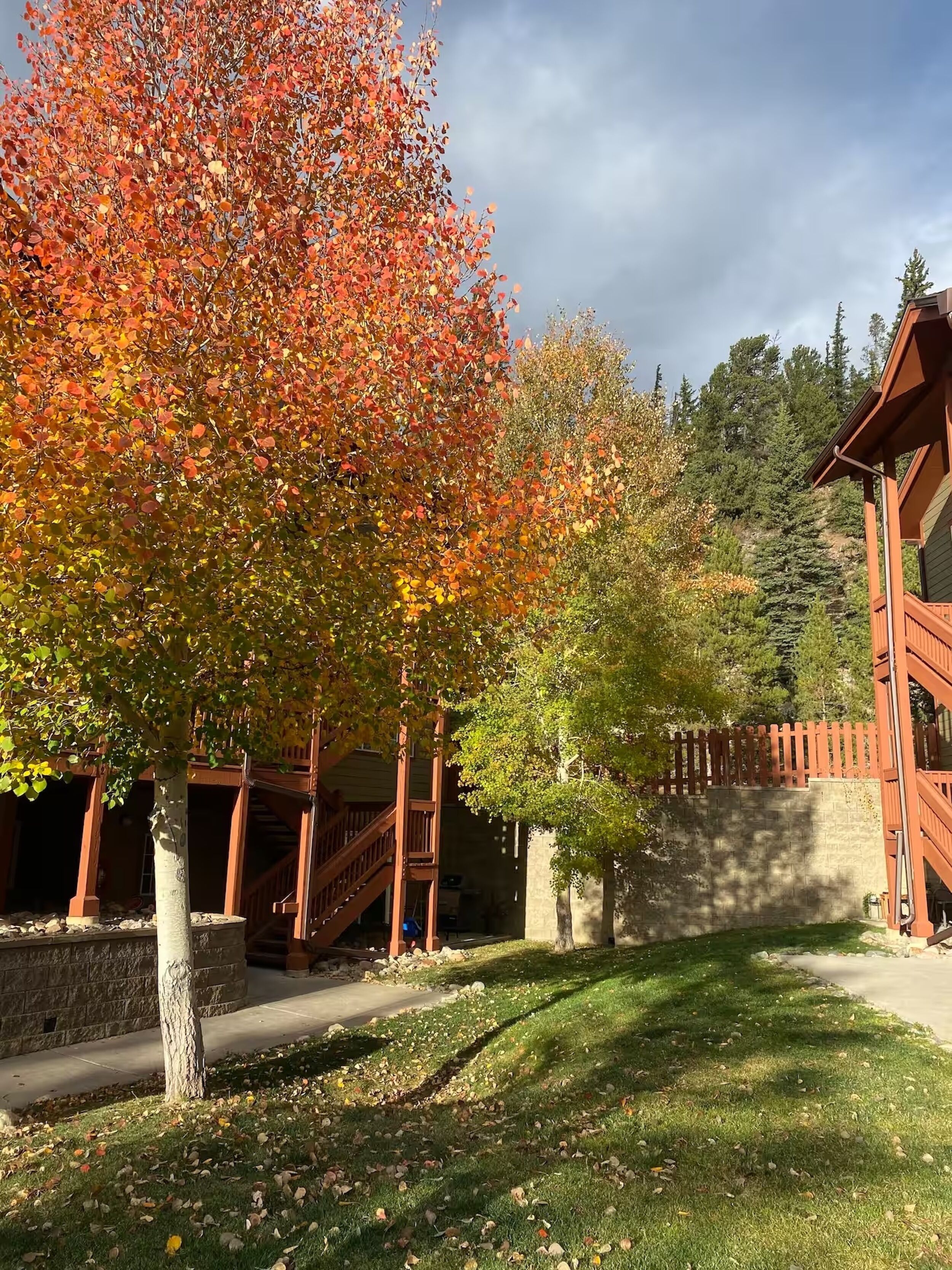 Enceinte de l’hébergement