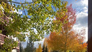 A residential area with a grassy lawn, a stone pathway, and a row of parked cars. - Breckenridge 1BR + Den - Family-Friendly, Steps to Swan River & CO Trail (Breckenridge)