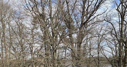 Vacation apartment Seeperle am See