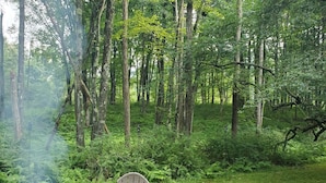 A forested area with a fire pit, two Adirondack chairs, and a green water bottle.