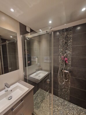 Shower, hair dryer, towels, toilet paper - Family home ideal for 3 families (sleeps 14) (Saint-Jorioz)