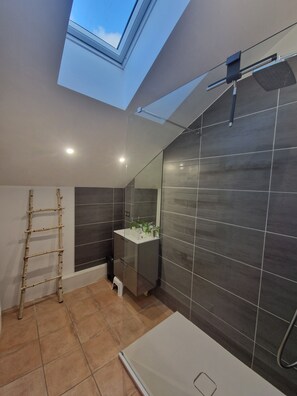 Shower, hair dryer, towels, toilet paper - Family home ideal for 3 families (sleeps 14) (Saint-Jorioz)
