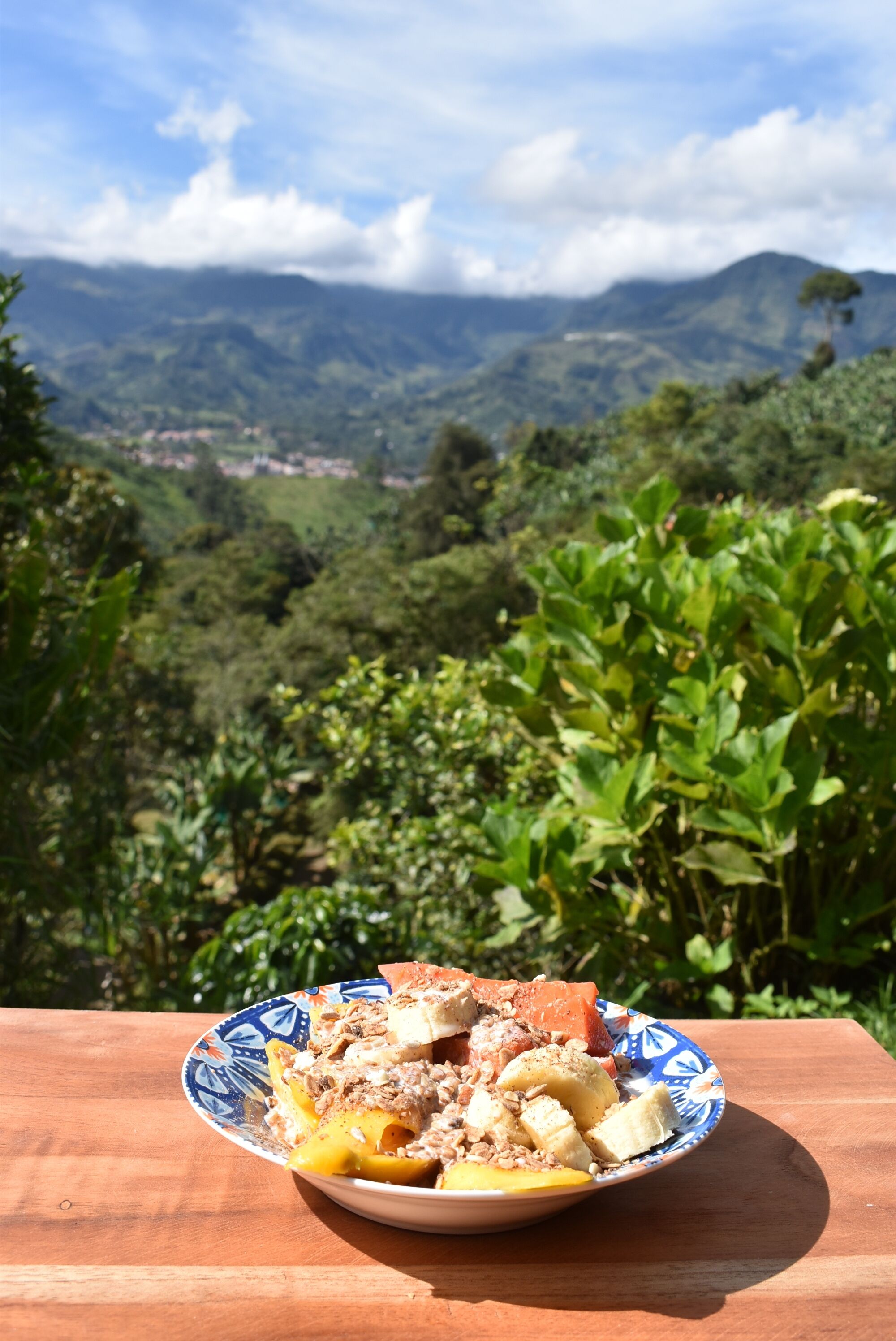 Un plato de comida sobre una mesa de madera, con un paisaje montañoso al fondo.