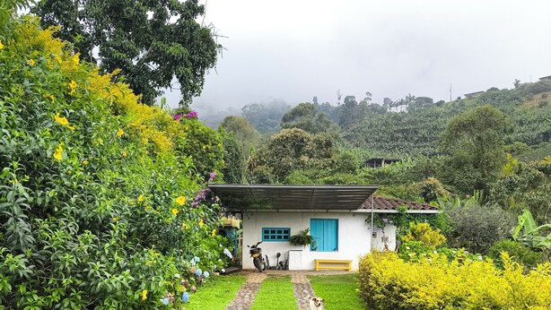 Une maison avec un chemin pavé menant à l’entrée, entourée d’une végétation luxuriante et d’un petit jardin.