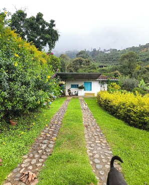 A house with a paved pathway leading to it, surrounded by lush greenery and a small garden. - Cabin among coffee plantations and on the road to the Cueva del Esplendor (Splendor Cave) (J57C+VF Jardín)