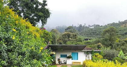 Cabin among coffee plantations and on the road to the Cueva del Esplendor (Splendor Cave)