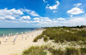 En strand med en række parasoller og en sti af sand, der fører ned til vandet.