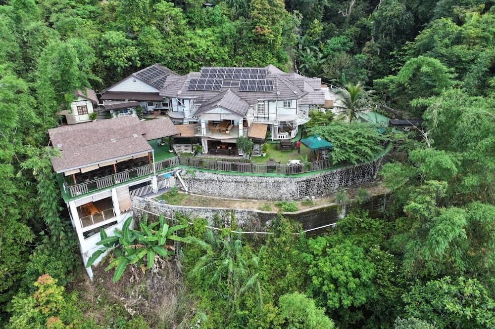 Hickory Penang Hill