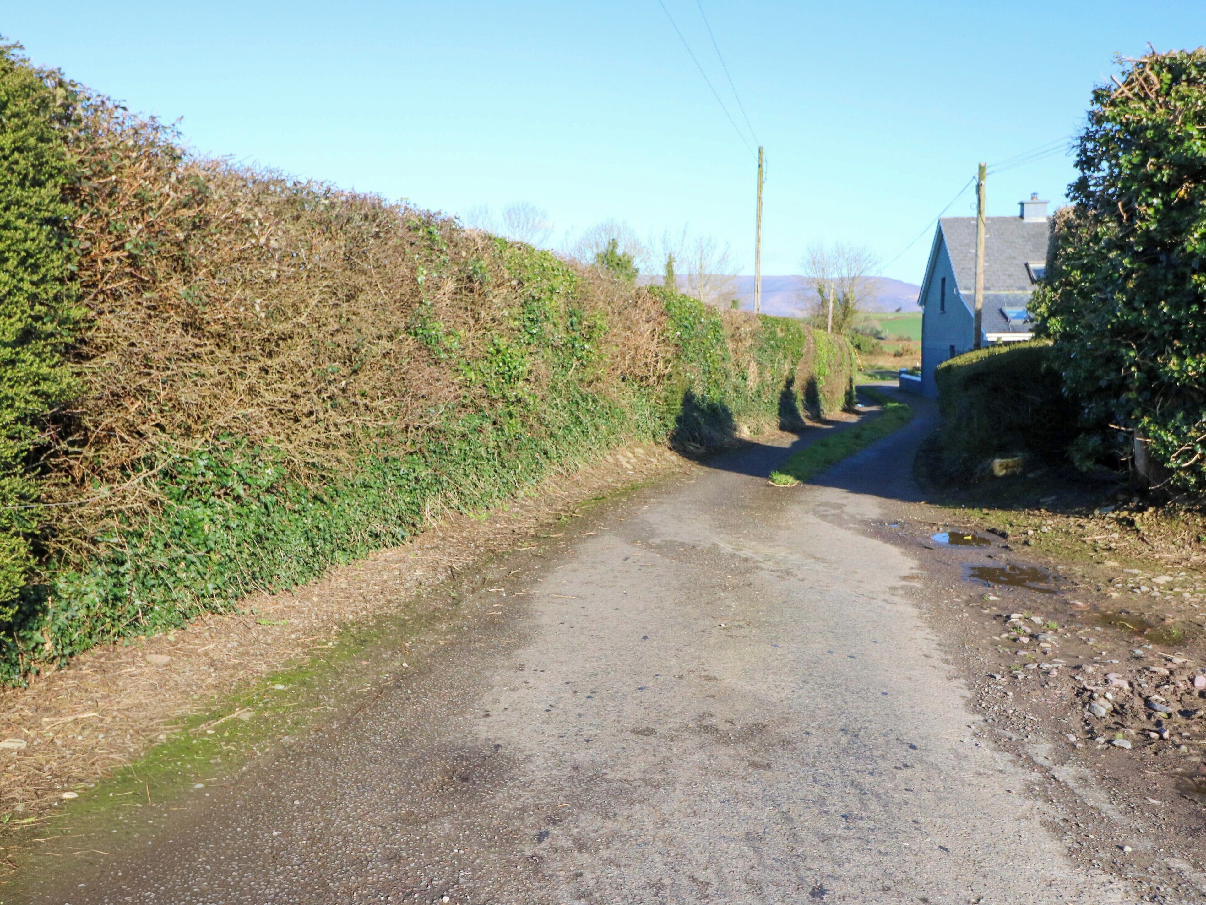 A rural road with a house on the right, surrounded by vegetation.