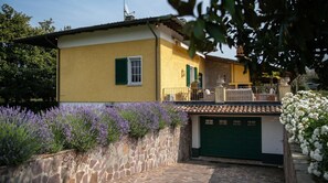 Exterior - Villa Mary, private swimming pool, big garden, AC, 5 minuts to the beach (Solarolo)
