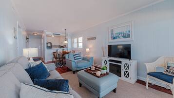 TV, fireplace, DVD player, books
