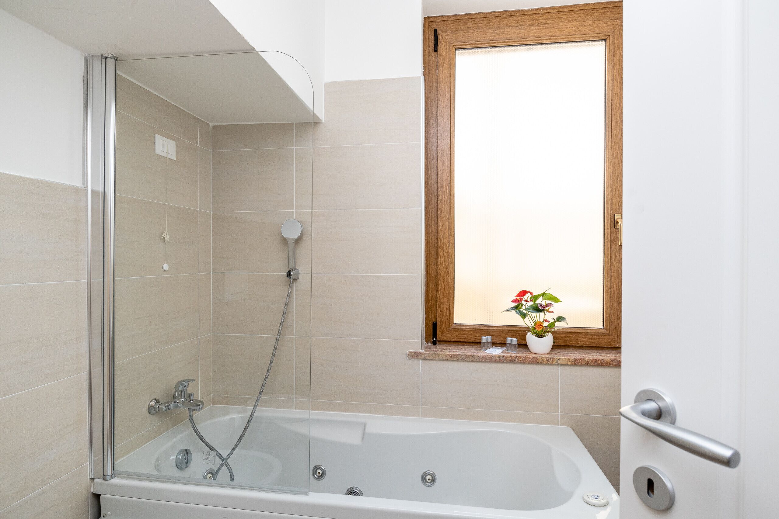 Shower, hair dryer, bidet, towels