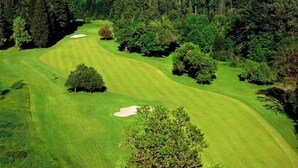 Ein Golfplatz mit freiem Blick auf den umgebenden Wald und die entfernten Berge.