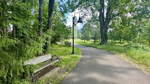 Um caminho pavimentado em um parque com um banco e um lampião.