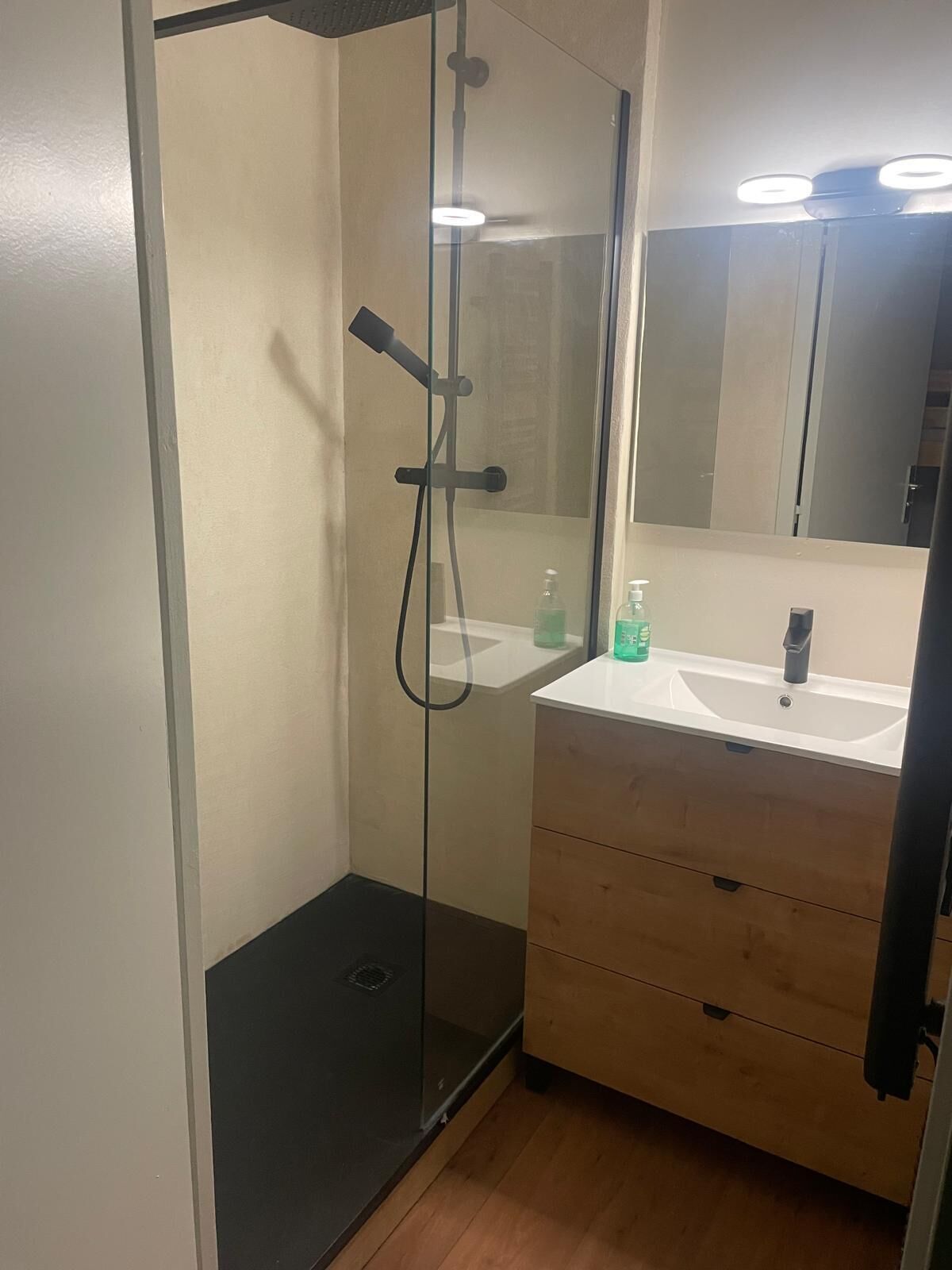 Shower, hair dryer, toilet paper