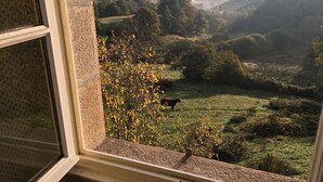 A view from a window overlooking a grassy landscape with trees and hills. - Relaxation and space in a family home with breathtaking views! (Ambrugeat)