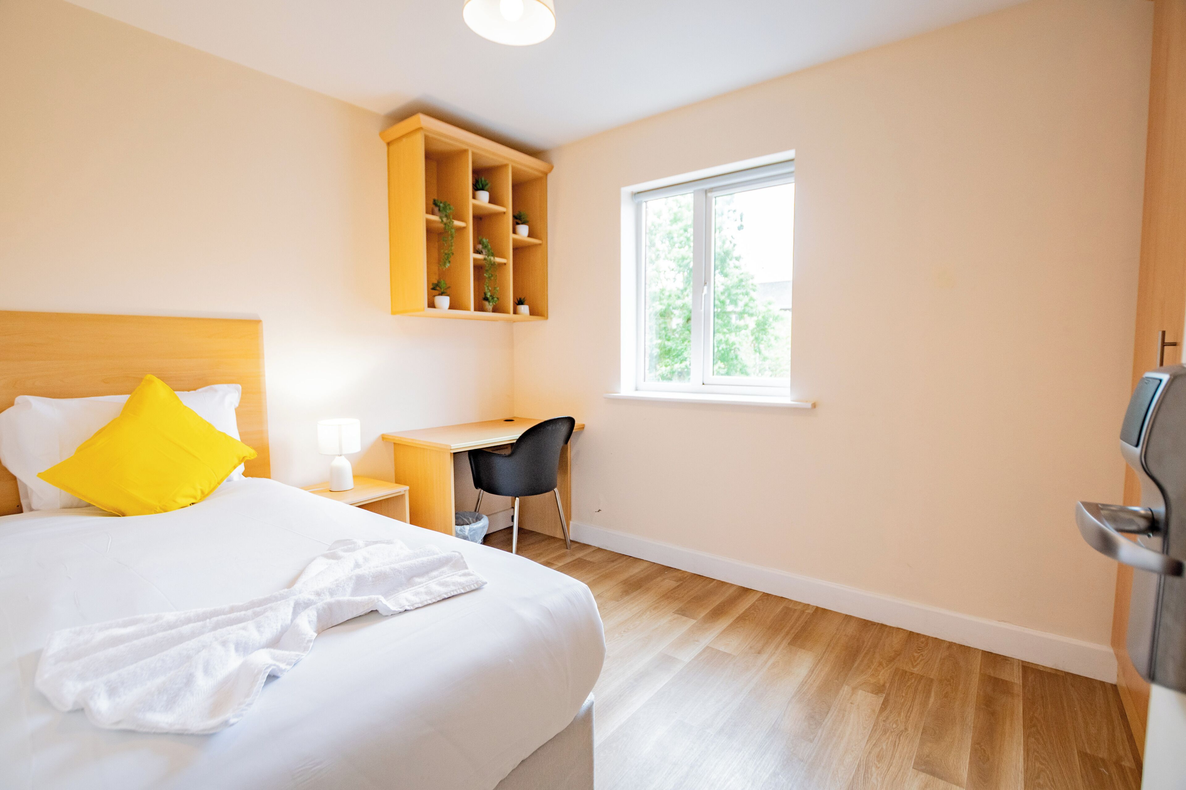 A hotel room with a bed, a desk, a chair, a TV, and a window.